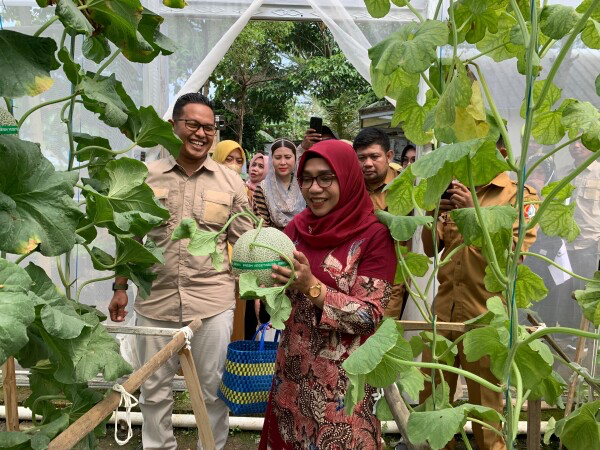 Cantika Wahono Kunjungi Kebun Melon Edufarm di Malo, Dorong Inovasi Pertanian Berbasis Edukasi