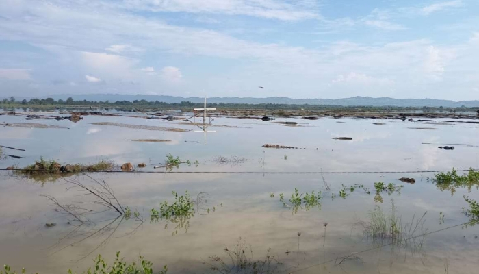 Banjir Rendam Tambak Garam di Nambakor Sumenep, Petani Gagal Panen