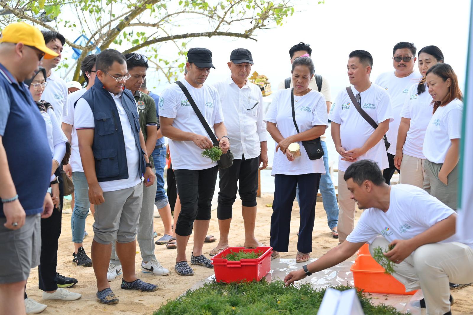 Dari Pesisir Nusa Lembongan, PLN Bangun Kemandirian Ekonomi Melalui Rumput Laut