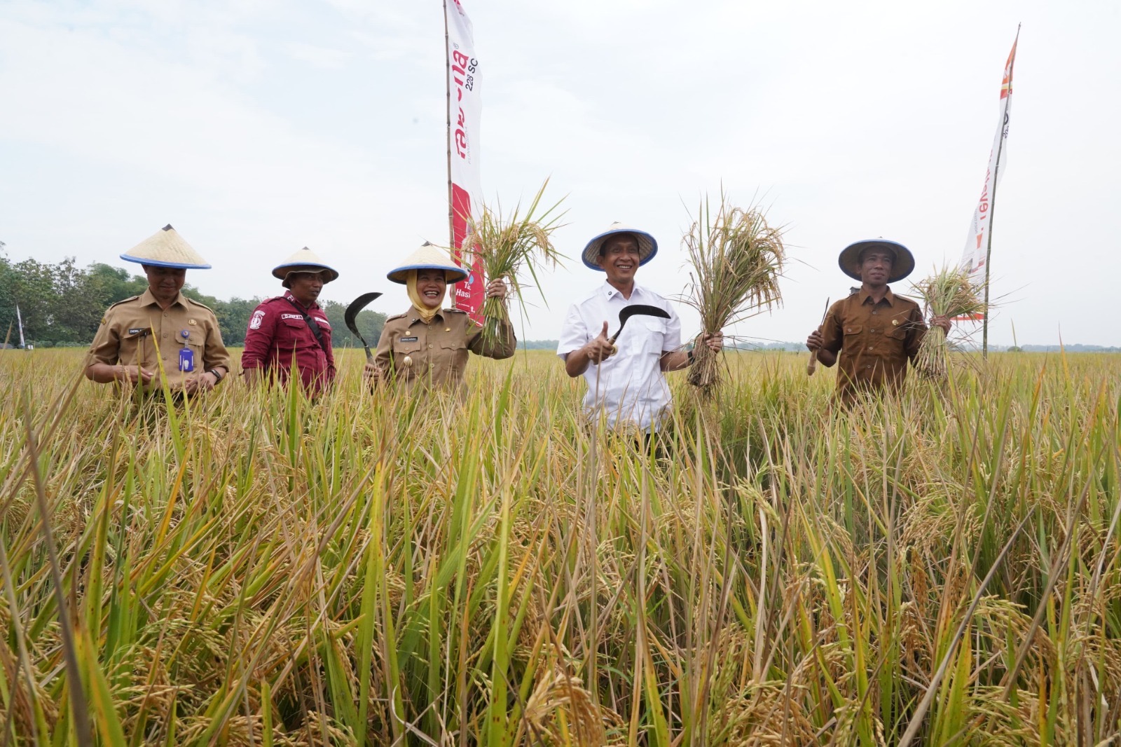 Pertanian Jadi Prioritas Utama, Pemkab Bojonegoro Bertekad Jadi Produsen Padi Terbesar Kedua Jawa Timur