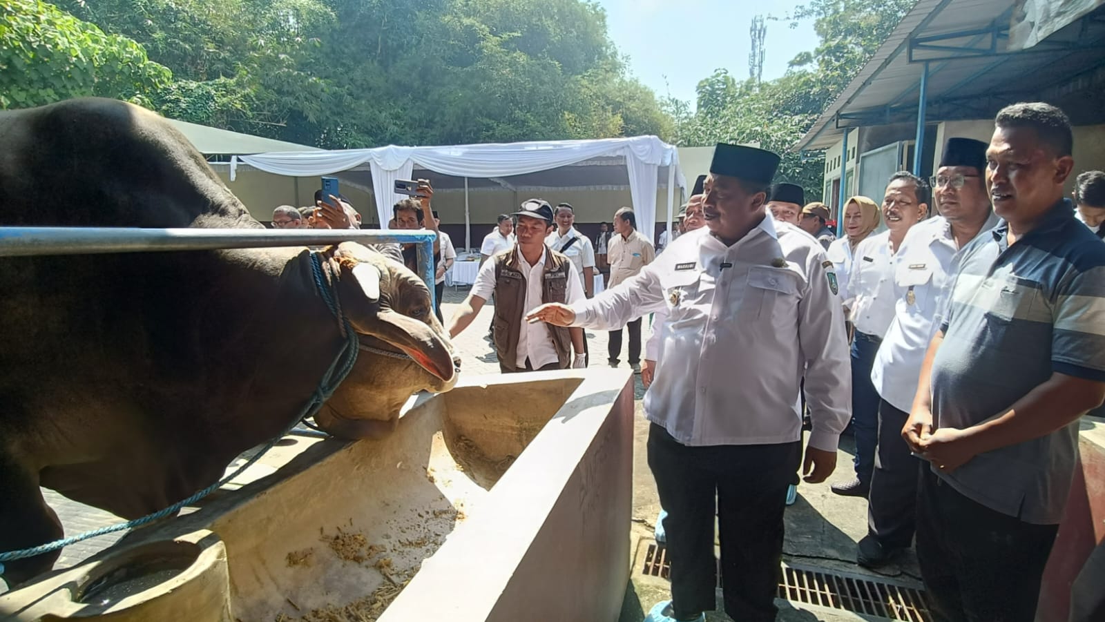 Jelang Idul Adha, Bupati Jombang Sidak Pasar Hewan: Sapi Presiden Prabowo Dinyatakan Sehat dan Layak Kurban