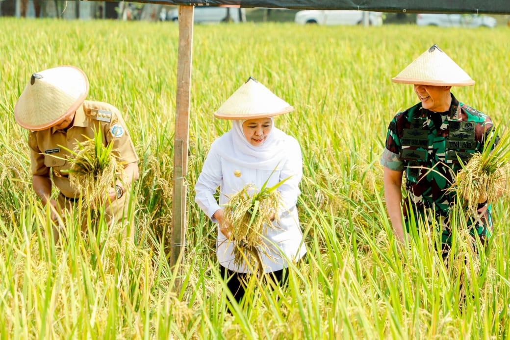 Gubernur Khofifah Apresiasi Integrated Farming Kodim 0812 Lamongan, Siap Replikasi di Seluruh Jatim