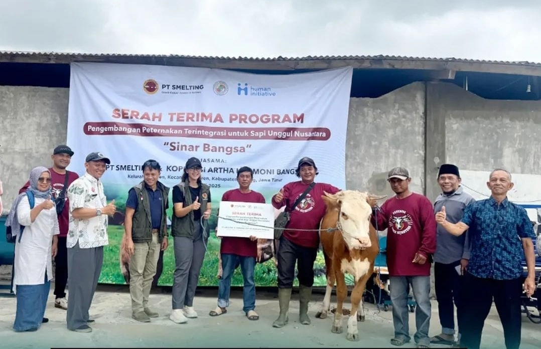 PT Smelting Dukung Peternak Sapi di Turen Malang Lewat Program Terintegrasi