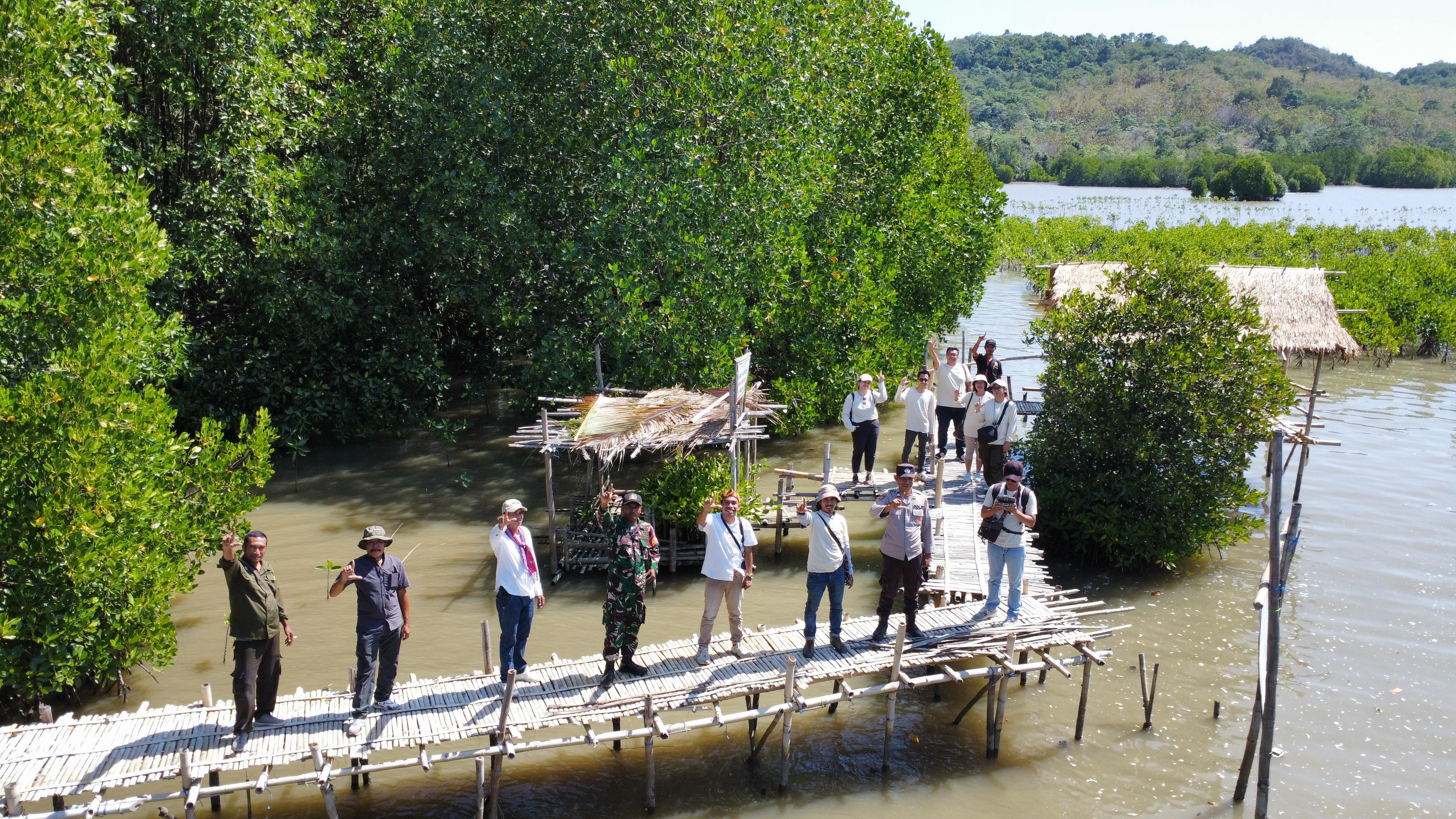 MPMX Lanjutkan Rehabilitasi Mangrove, 100.000 Bibit Telah Tertanam di NTT