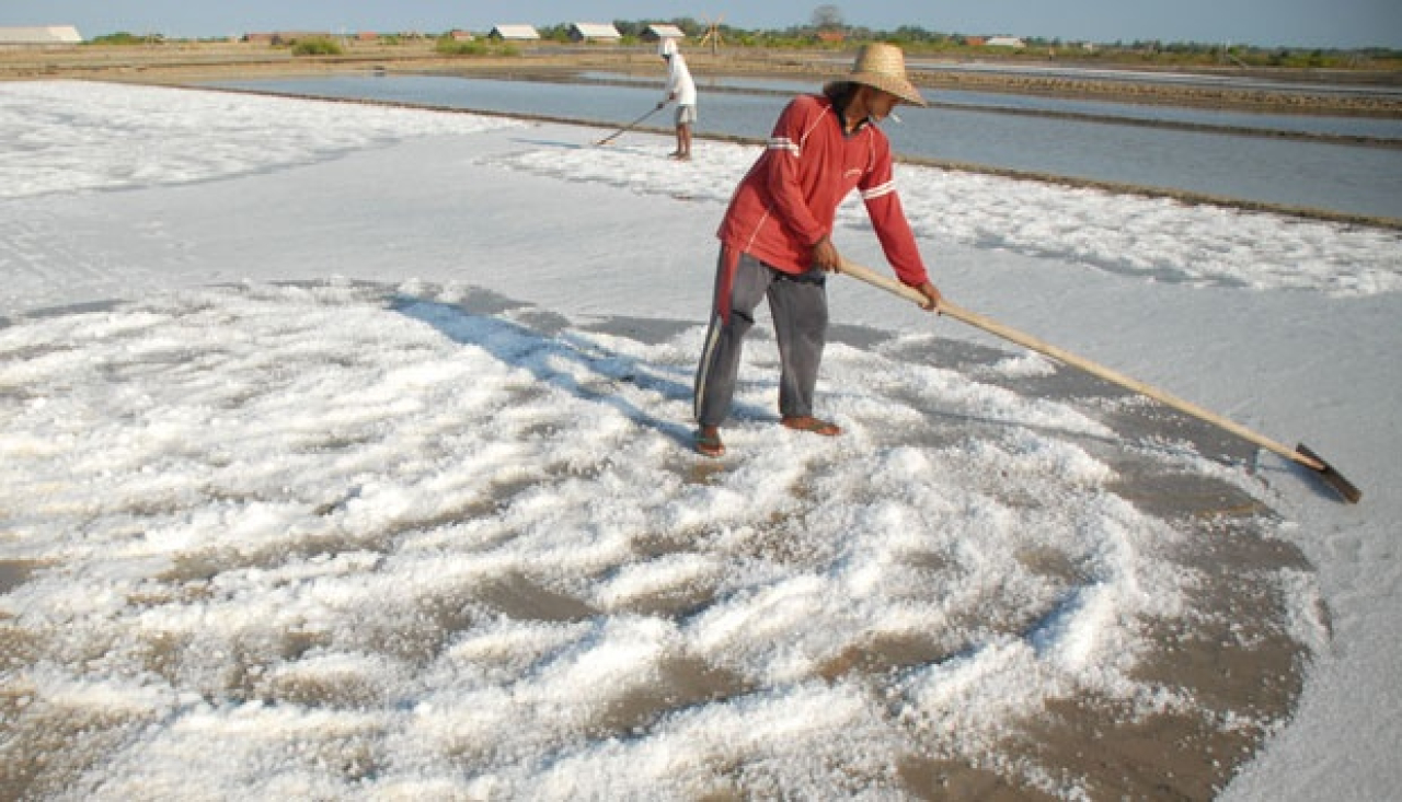 Petani Garam Sumenep Pasrah dengan Anomali Cuaca dan Harga Jual