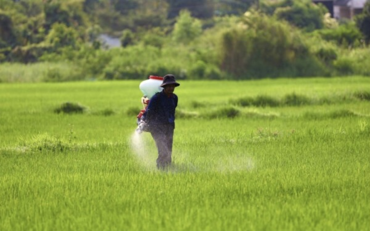 HET Pupuk Turun, DKPP Bojonegoro Pastikan Harga di Kios Sesuai Aturan