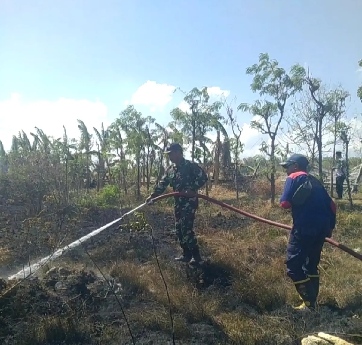 Diduga Akibat Puntung Rokok, Lahan Kosong di Belakang PT Garam Pangarengan Sampang Terbakar