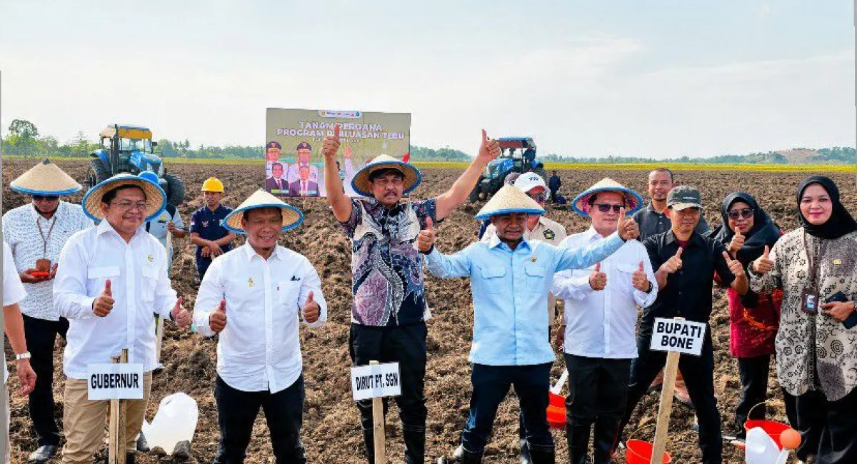 Perluasan Areal Tebu Dimulai, SGN Perkuat Produksi Gula di Indonesia Timur