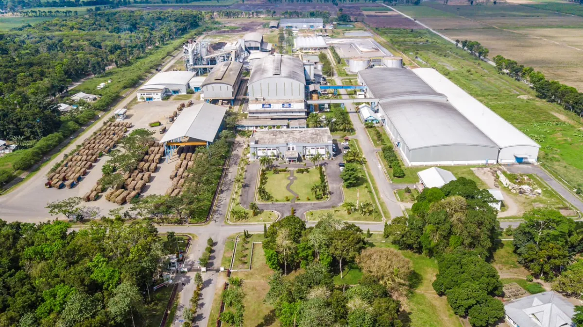 Semester I 2026, SGN Catat Kenaikan Produksi Gula dan Perkuat Kemitraan Petani