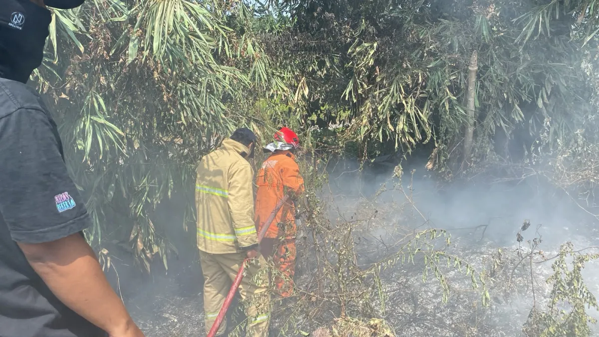 Gresik Catat 72 Kebakaran Selama Agustus, Lahan Kosong di Driyorejo Kembali Terbakar