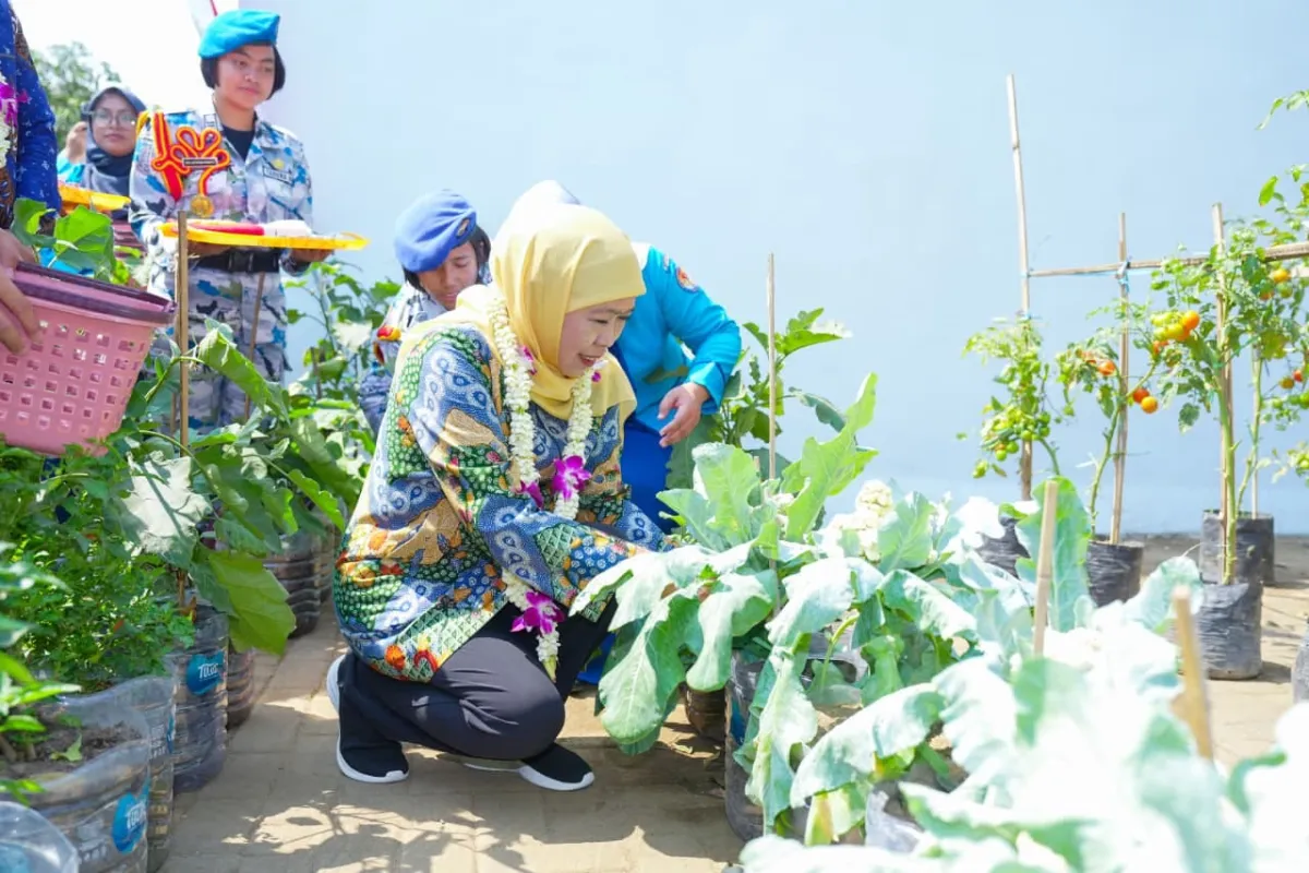 Panen Sayuran di SMAN Taruna Nala, Khofifah Dorong Sekolah Jadi Penggerak Ketahanan Pangan