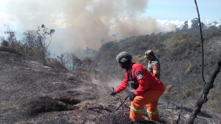 Kawasan Gunung Bromo Kembali Terbakar, Petugas Berupaya Padamkan Sejumlah Titik Api