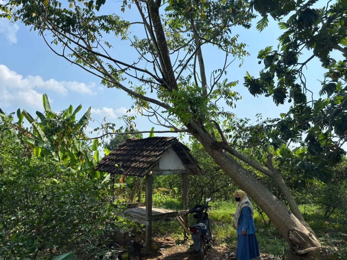 Dukun Cabul di Gresik Pedayai Korban Saat Berobat