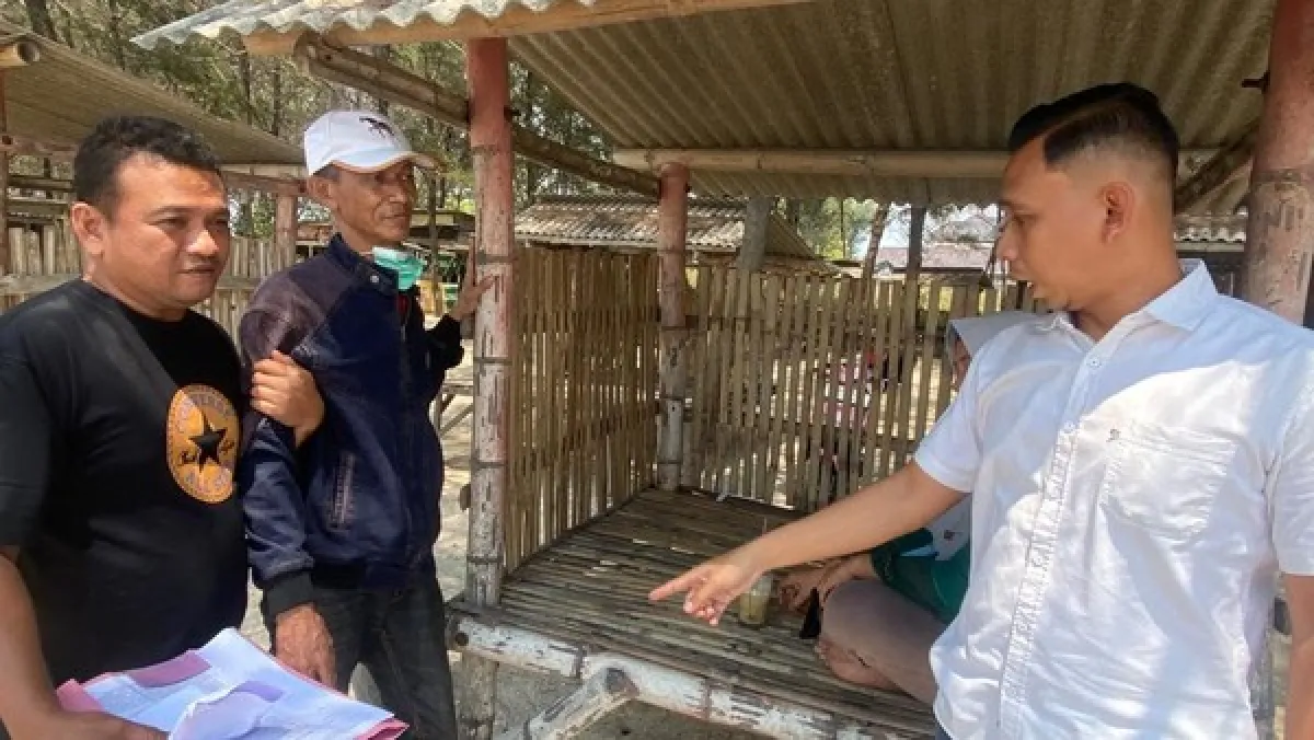Koki MBG di Tuban Peras Karyawati SPPG Ancam Sebar Video Syur Perselingkuhan ke Medsos