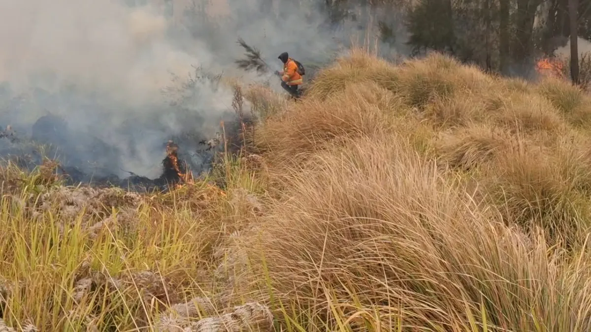Karhutla Bromo Meluas Hingga Jemplang, Seluruh Akses Wisata Ditutup Total