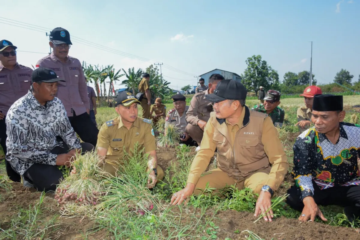 Produktivitas Tembus 11,3 Ton/Ha, Pemkab Lamongan Salurkan Bantuan Irigasi di Desa Truni