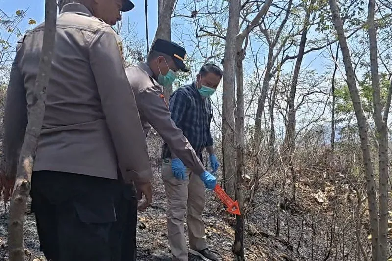 Terjebak Kebakaran Hutan, Lansia Pencari Kayu di Ponorogo Meregang Nyawa