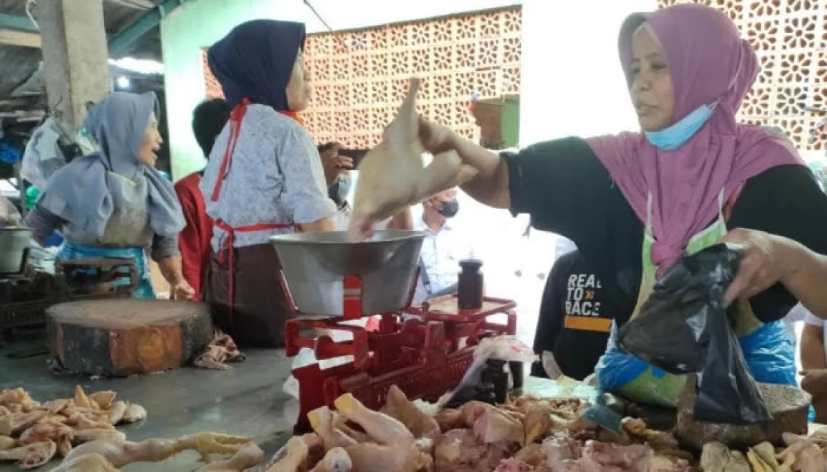 Bulan Maulid Dongkrak Harga Ayam di Sumenep hingga Rp50 Ribu per Kilogram