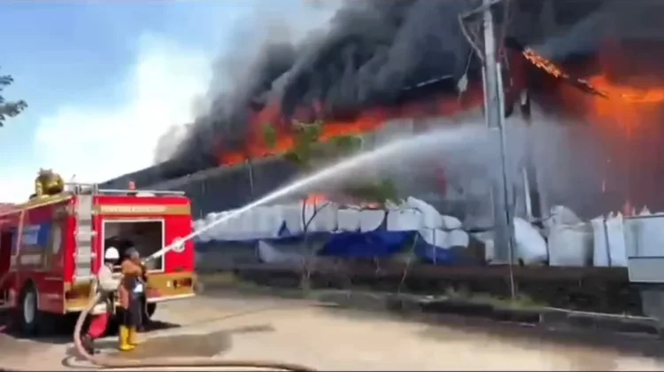 Kebakaran Hebat Hanguskan 7 Bangunan Pabrik di Lamongan, Penyebab Masih Diselidiki