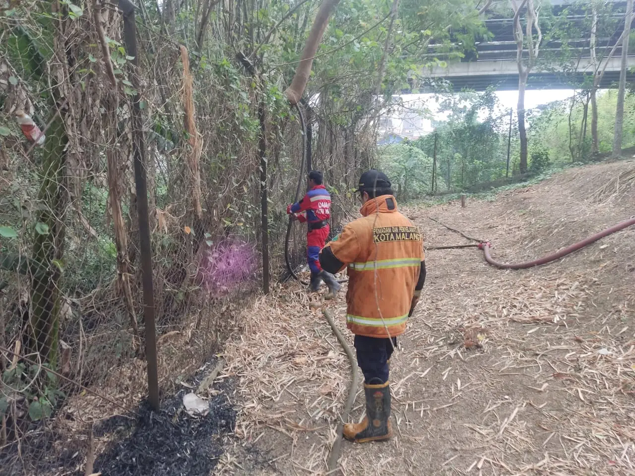 Minggu Padat Damkar Kota Malang,  Tangani Dua Kebakaran dan Evakuasi Warga