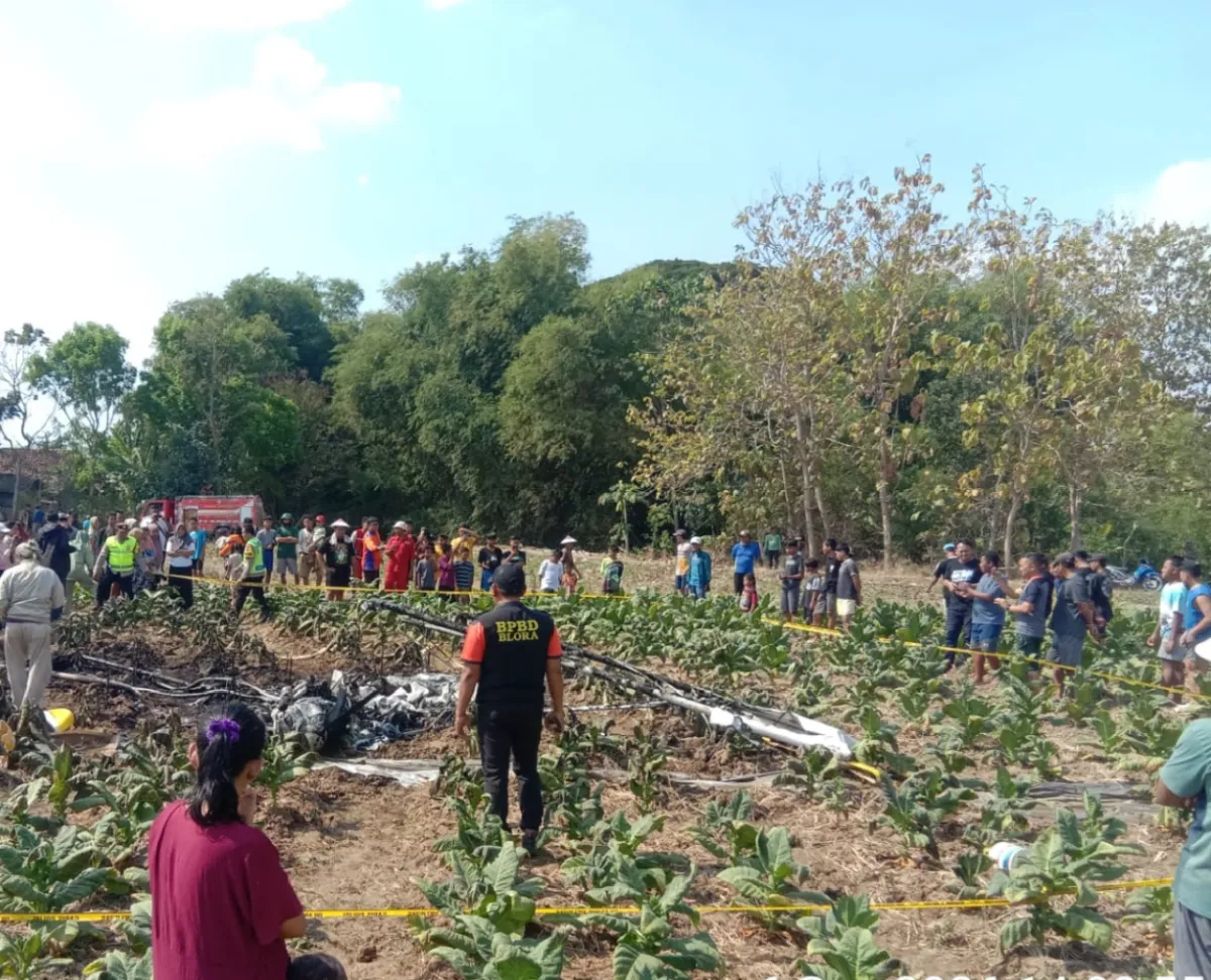 Pesawat Latih Jatuh di Ladang Tembakau Blora, Dua Awak Dilarikan ke Puskesmas