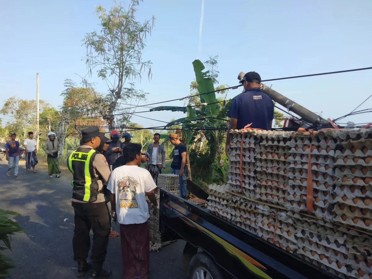 Hindari Kendaraan dari Arah Berlawanan, Mobil Bawa 2,2 Ton Telur Terguling di Sampang