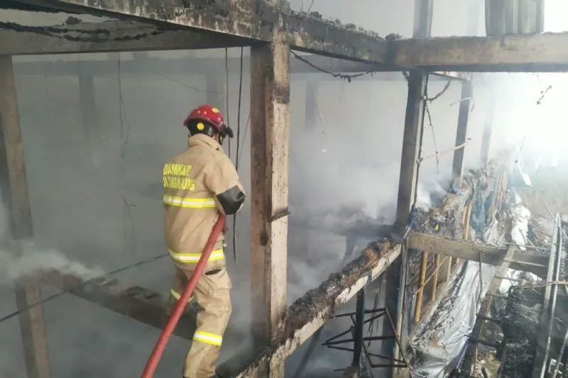 8 Ribu Ayam Hangus Terbakar Dalam Kebakaran Kandang di Tulungagung