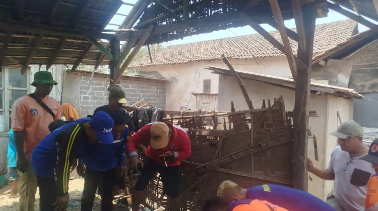 Anak Sapi Tercebur ke Sumur Sedalam 9 Meter di Situbondo, Petugas Gagal Evakuasi