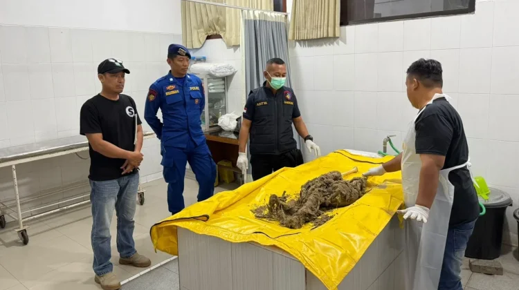 Warga Temukan Kerangka Manusia di Pantai Mustika Banyuwangi