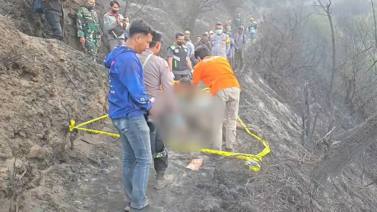 Empat Nyawa Relawan Karhutla Kawasan Bromo Melayang, Dua Lainnya Terluka