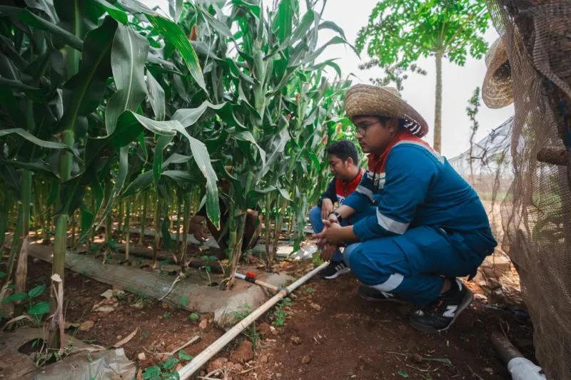 Pertamina Dorong Perekonomian Sirkular dalam Pengolahan Limbah Pertanian di Tuban