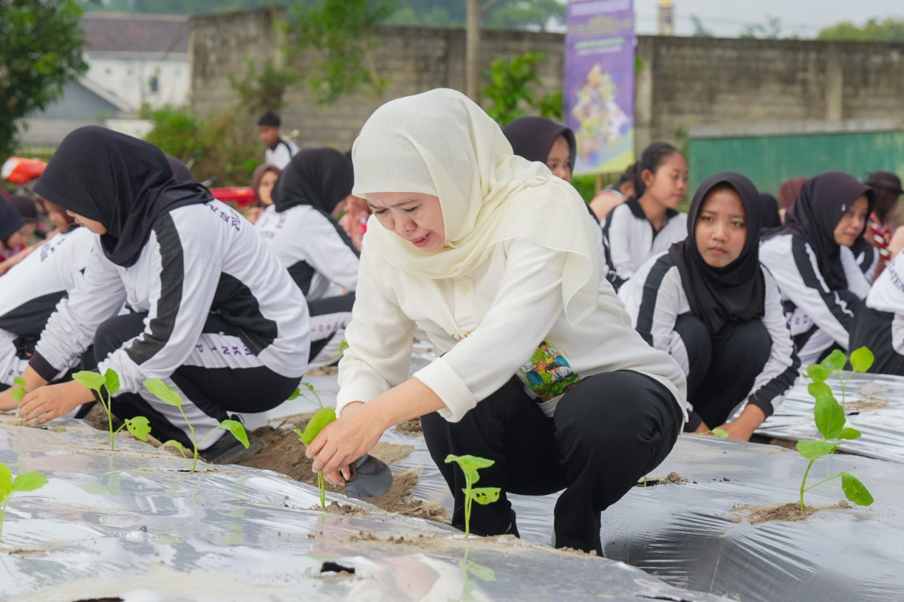 Gubernur Khofifah Pimpin Penanaman, Penaburan Benih Serta Panen Bersama di Kediri