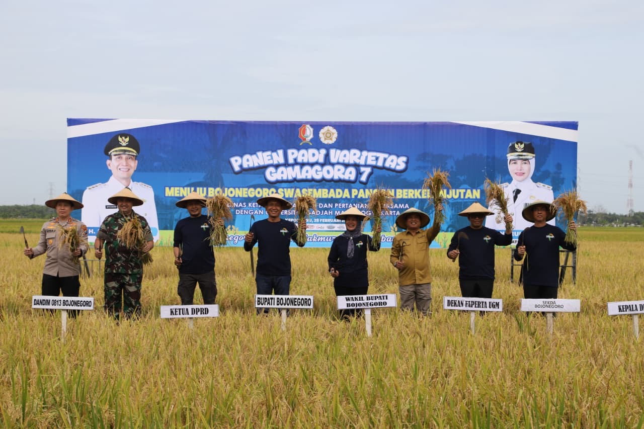 Gas Swasembada Pangan, Setyo Wahono Pasang Target Bojonegoro Jadi Produsen Padi Tertinggi Nasional 2028