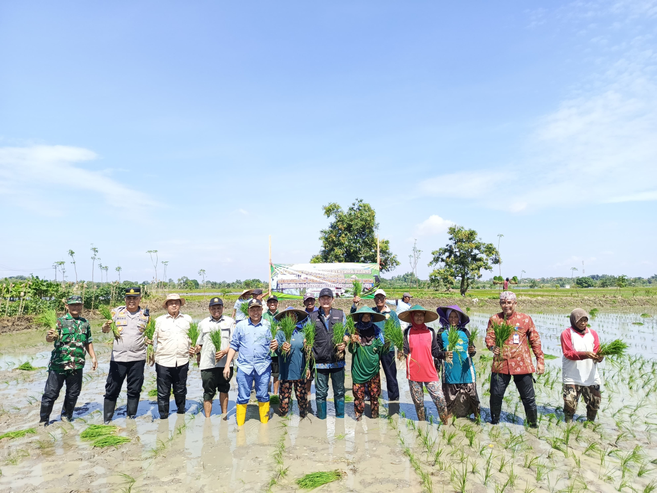 Percepat Luas Tambah Tanam 2026, Bupati Lamongan Ajak Petani Segera Mulai Musim Tanam Kedua