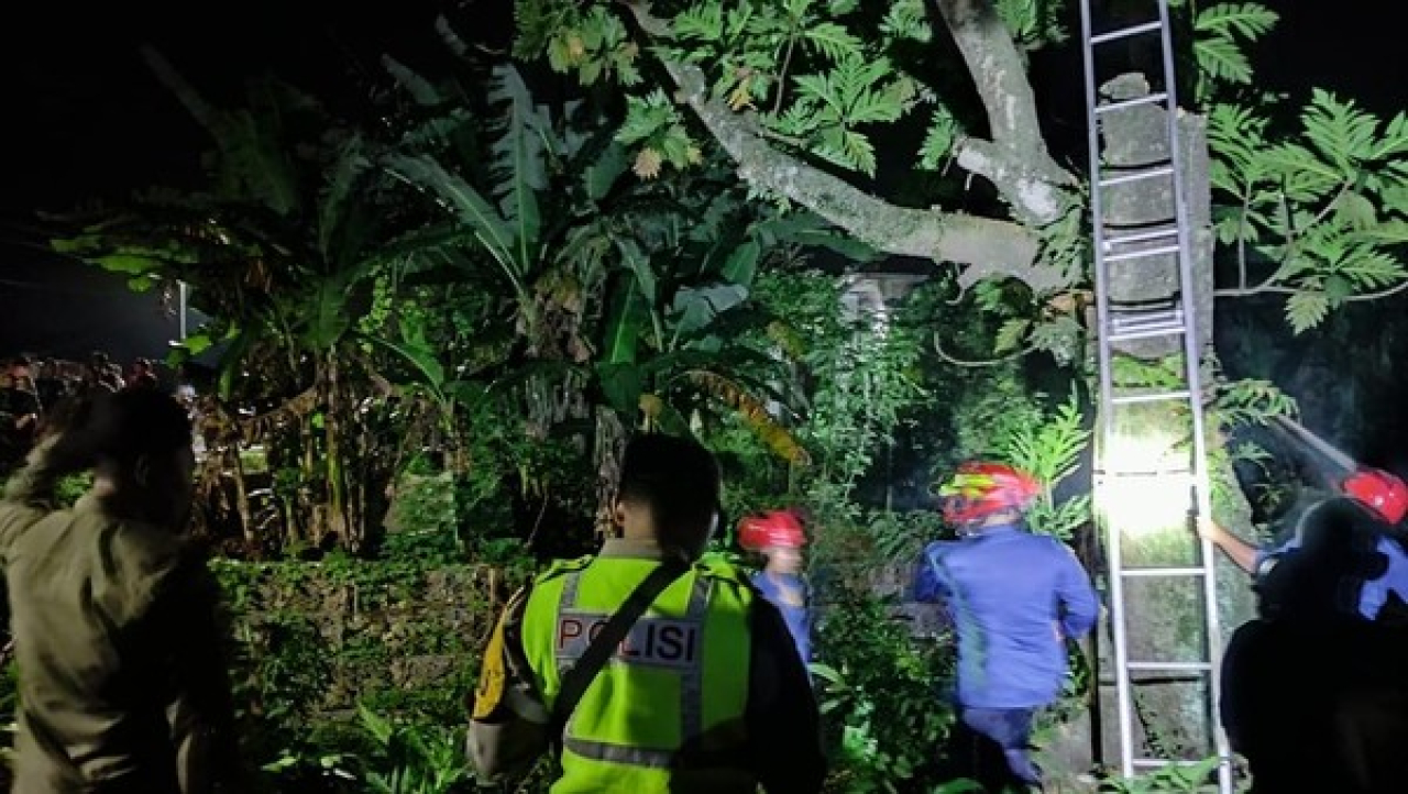 Nahas! Pria Nganjuk Tewas Tersengat Listrik Saat Tebang Pohon Sukun di Bojonegoro
