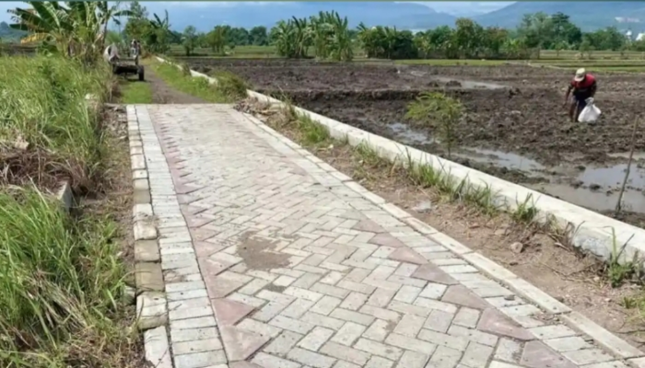 Jalan Usaha Tani Minim, Ribuan Hektare Lahan di Sumenep Terkendala Akses