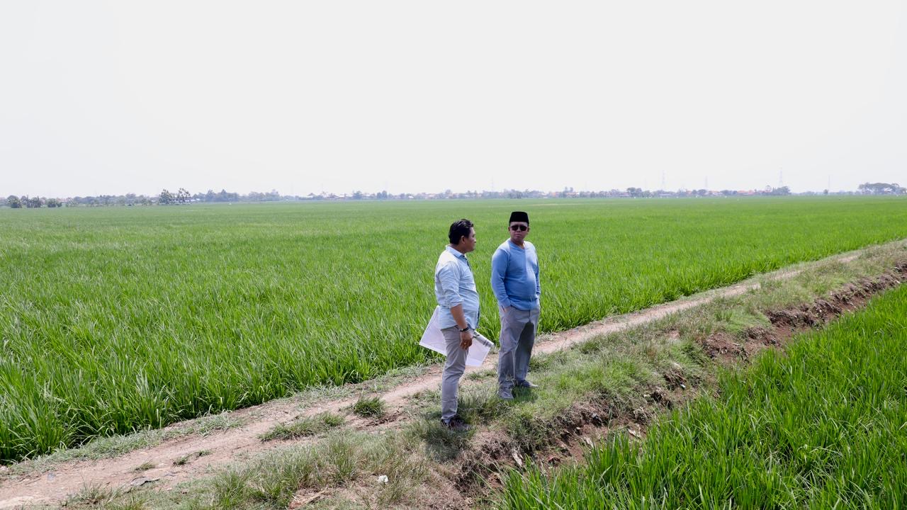 Lahan Sawah di Indramayu Diusulkan Jadi Kawasan Industri, Menteri Nusron Pastikan Tidak Masuk LSD