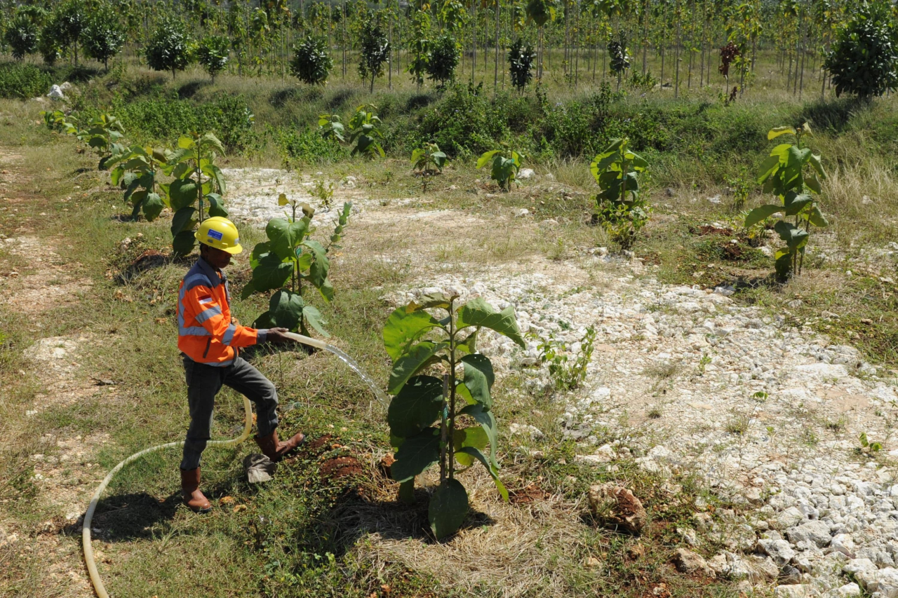 Transformasi Hijau SIG: Dari Limbah Jadi Energi hingga Reklamasi Pascatambang