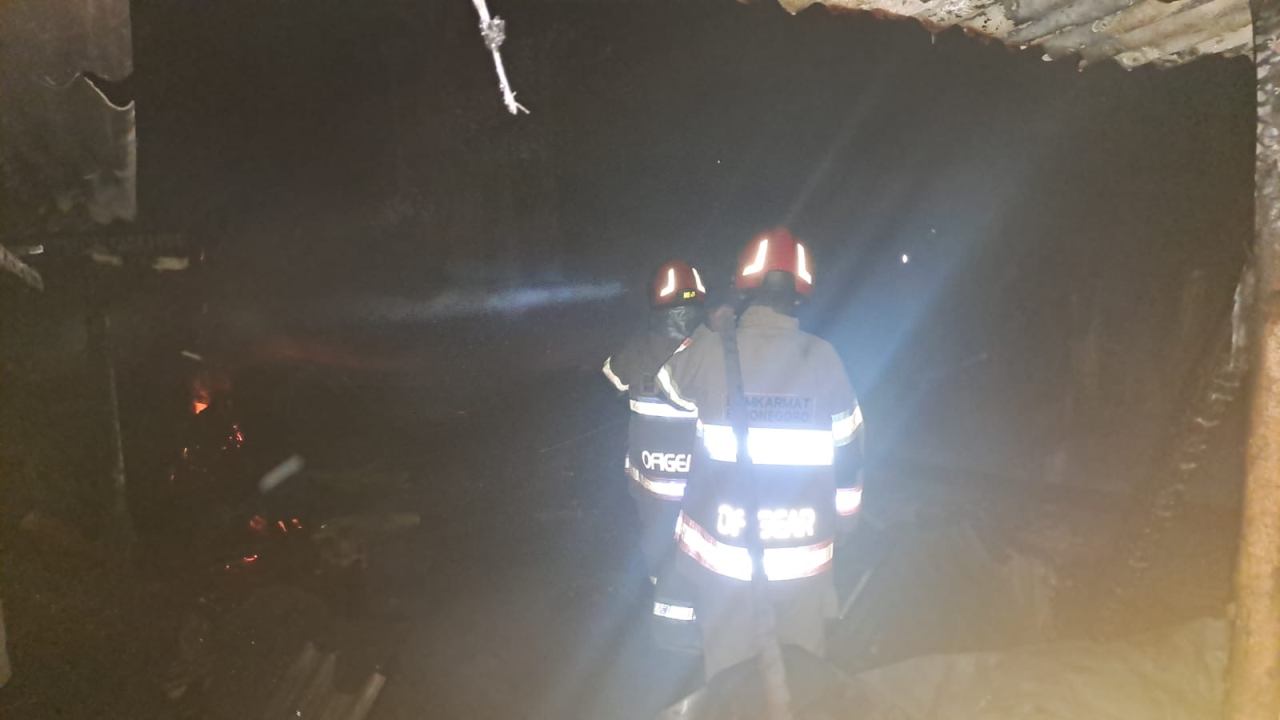 Bakar Sampah Berujung Petaka! Kandang Kambing di Temayang Bojonegoro Hangus Dilalap Api