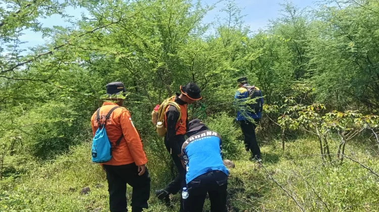 Sudah Tujuh Hari, Operasi SAR Gembala Sapi di Baluran Akhirnya Dihentikan