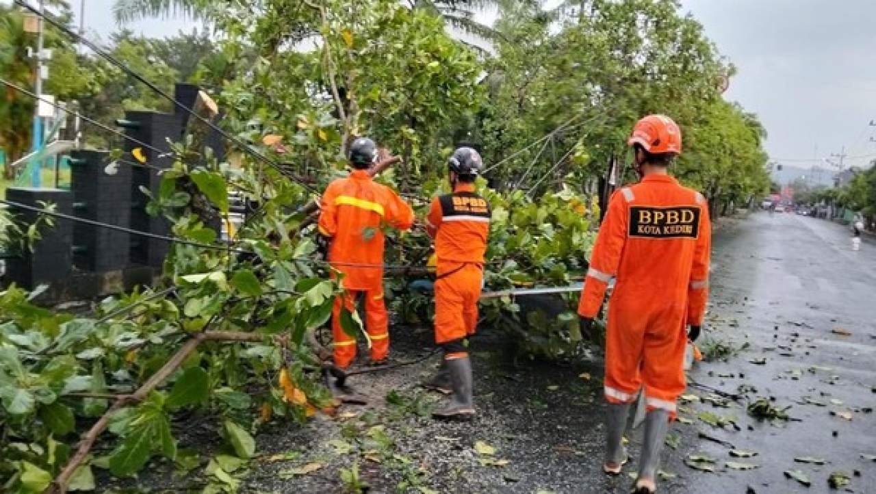 Hujan Disertai Angin Kencang Tumbangkan Belasan Pohon di Kediri