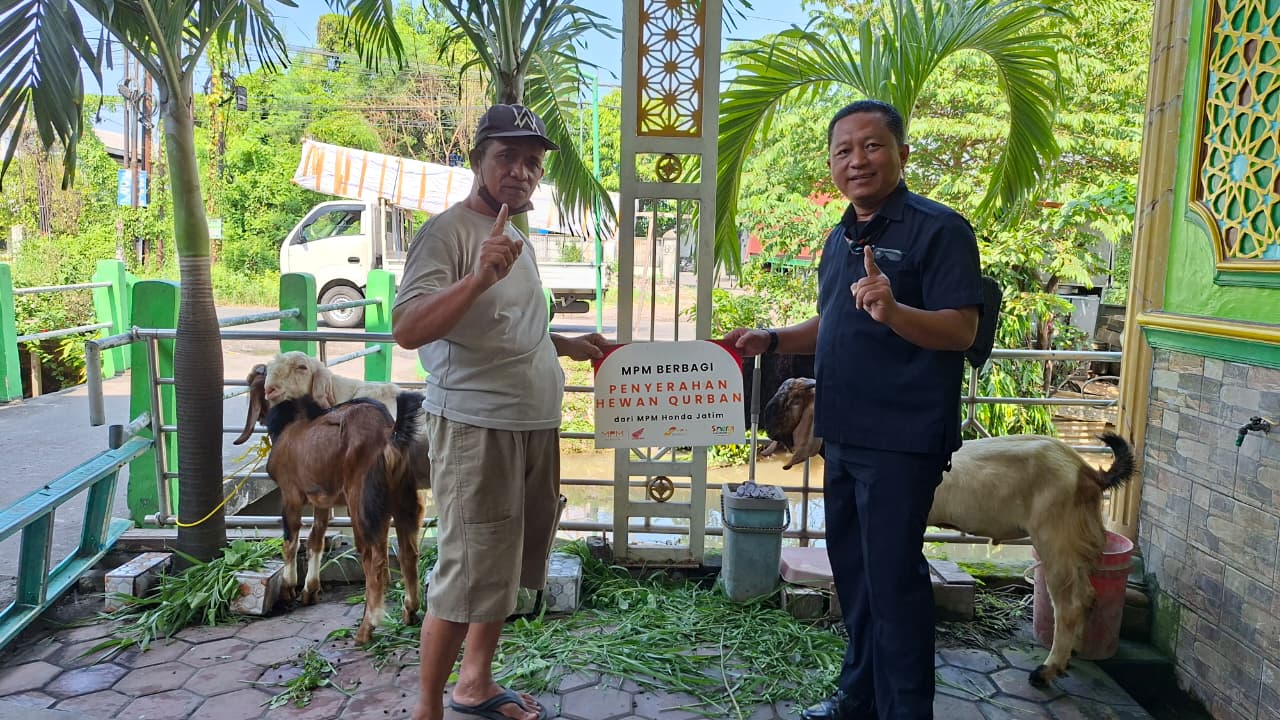 Perkuat Semangat Kebersamaan Iduladha, MPM Honda Jatim Salurkan Puluhan Hewan Kurban