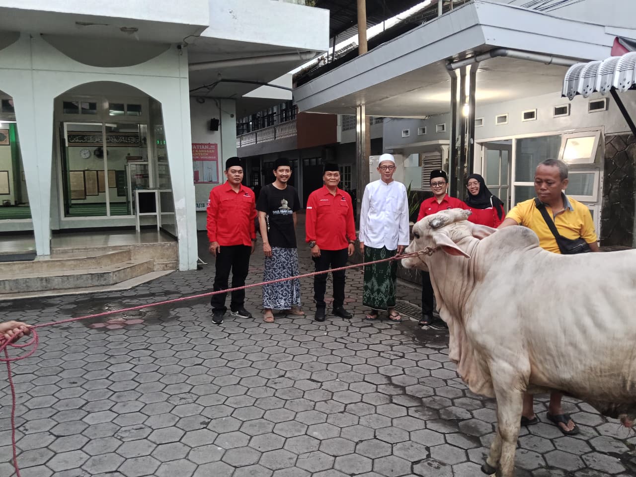 Iduladha 2026, DPC PDI Perjuangan Jember Serahkan Sapi Kurban kepada Gus Firjaun