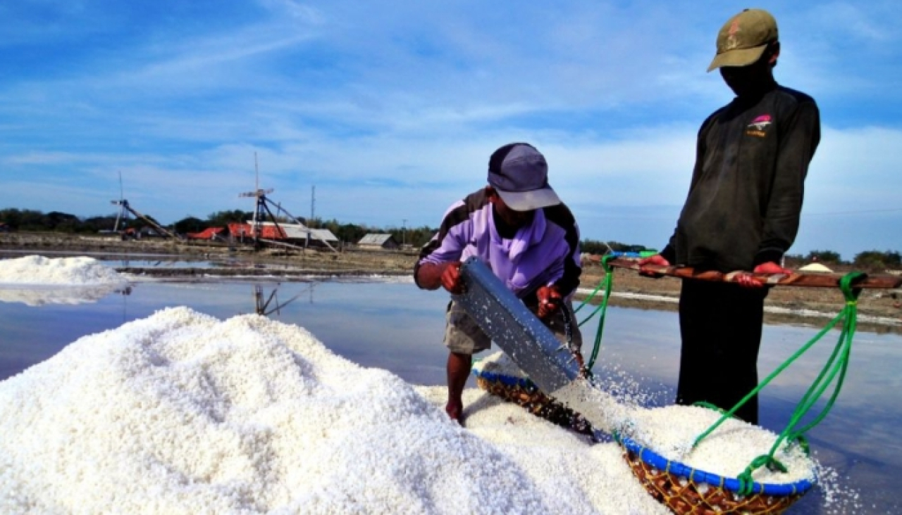 Petani Garam Sumenep Masih Terjepit Impor, Selisih Harga Jadi Kendala Utama