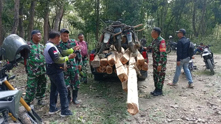 Pembalakan Hutan Jatirogo  Diamankan Babinsa dan KPH Tuban