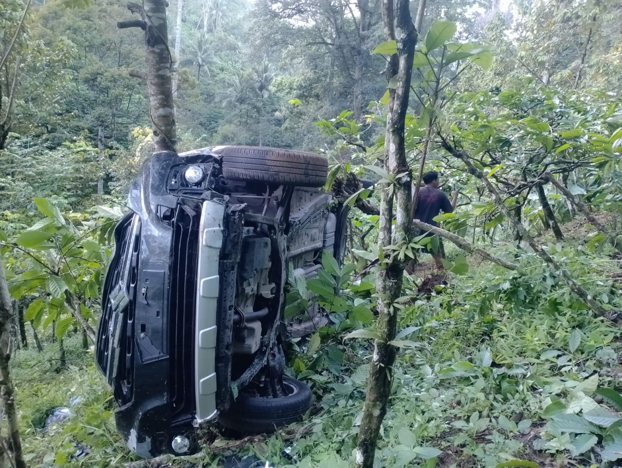 Sopir Ngantuk, Mobil Ertiga Masuk Jurang Sedalam 15 Meter di Jalur Gumitir Jember