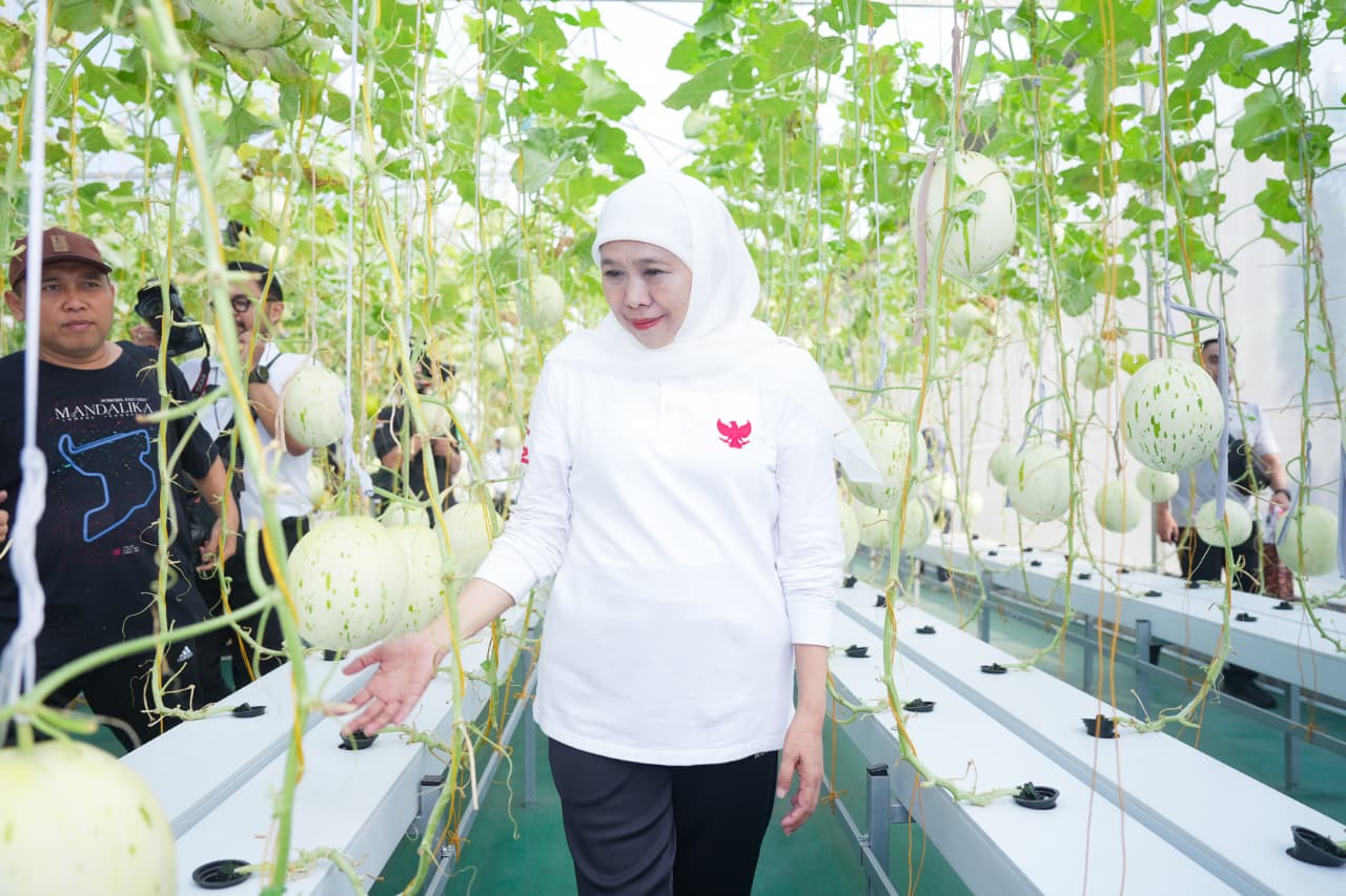 Gubernur Khofifah Resmikan FishTech dan Panen Melon IoT di Masjid Al Akbar
