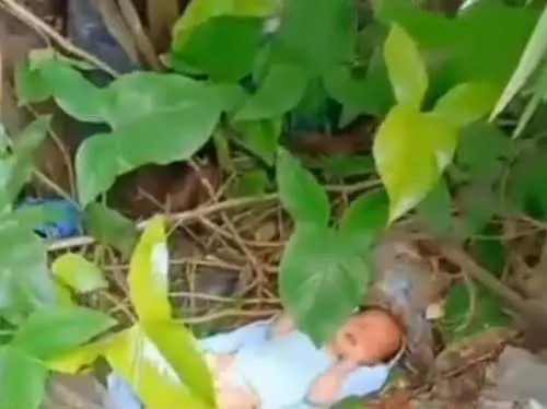 Polres Sampang Amankan Ibu Pembuang Bayi di Semak-semak