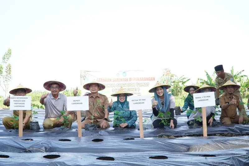 Perkuat Ketahanan Pangan,  Pemkab Lamongan Optimalkan Pekarangan