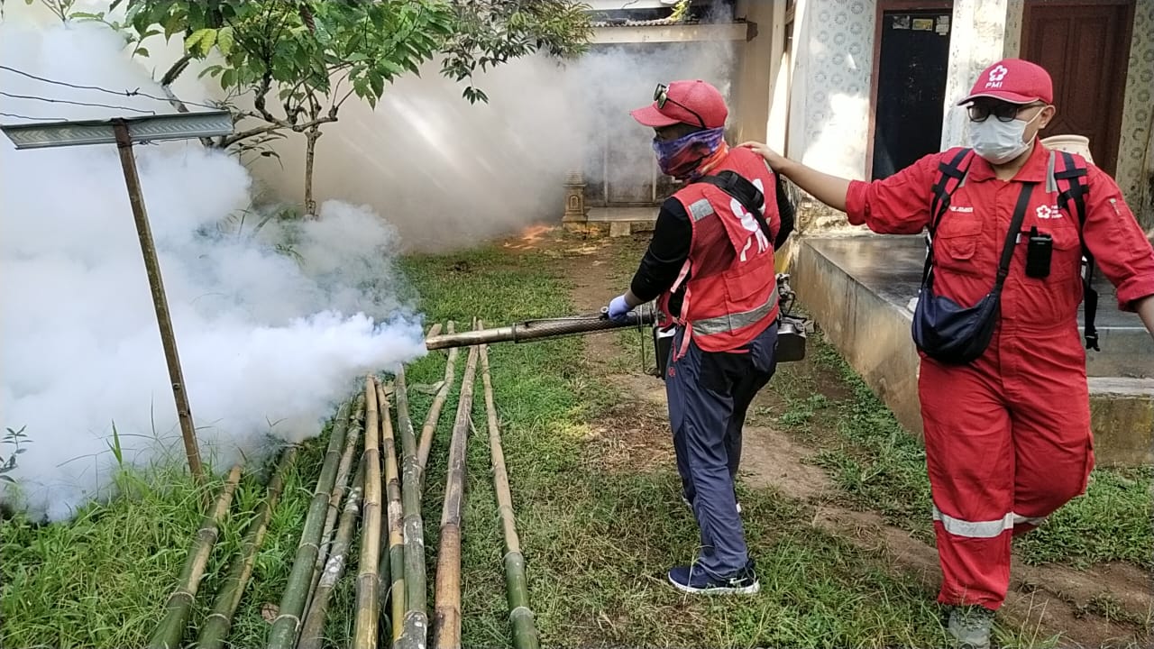 Kasus DBD Capai 12 Orang, PMI Jember Gerak Cepat Fogging Puluhan Rumah di Selodakon Tanggul